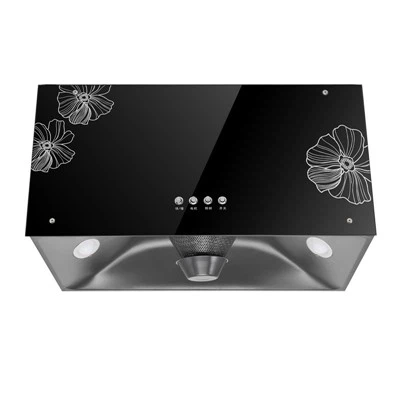 Cappe da cucina a soffitto